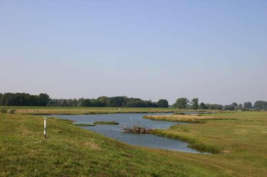 Elbvorland-bei-Landsatz